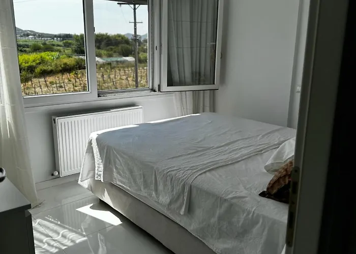 Enlightened Escape Apartamento *